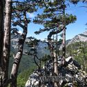 IMG_0904