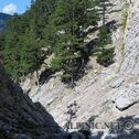 IMG_0908