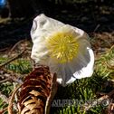 IMG_6689_DxO