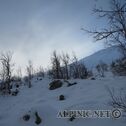 IMG_4074