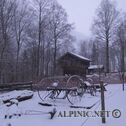 IMG_4120