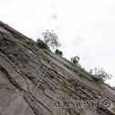 DSC02643