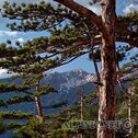 IMG_20180421_181754_lo_dxo