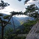 IMG_4650_lo_dxo