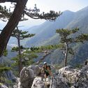 IMG_0939