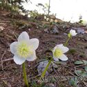 IMG_4814_lo_dxo