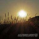 IMG_2424_lo_dxo