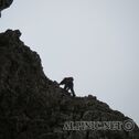 IMG_3932