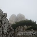 IMG_3947