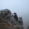 IMG_3959