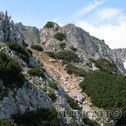 IMG_2992