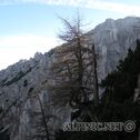 IMG_6070
