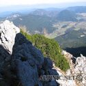 IMG_6082