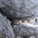 IMG_6117
