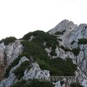 IMG_6122