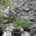 DSC02847