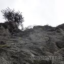 DSC02856