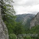 DSC02859