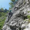 DSC02906