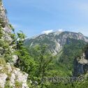 DSC02907