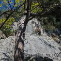 IMG_0208