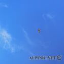 IMG_0234