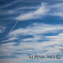 IMG_0236