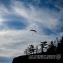 IMG_0246