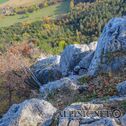 IMG_0268