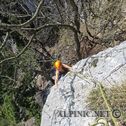 IMG_9651_DxO