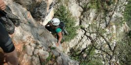 Beuteösterreicher 6+ / Hinterholz 5