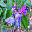 IMG_4707_lo_dxo