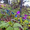 IMG_4714_lo_dxo