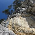 IMG_6563_DxO
