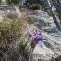 IMG_6570_DxO