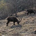 IMG_6606_DxO