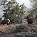 IMG_6613_DxO