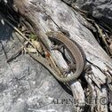 IMG_0178_DxO