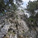 IMG_0183_DxO