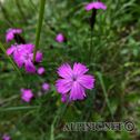 IMG_5119_lo_dxo