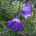 IMG_5120_lo_dxo