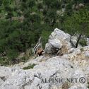 IMG_5075_lo_dxo
