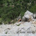IMG_5076_lo_dxo