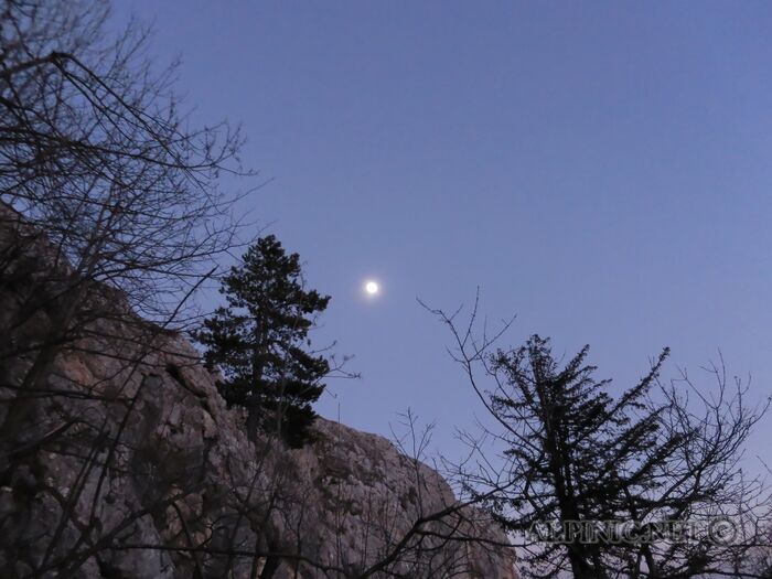 IMG_6364_DxO