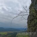 IMG_9216_DxO