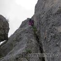 IMG_9225_DxO