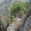 IMG_1316