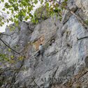 IMG_1318
