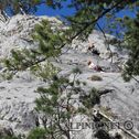 IMG_6516_DxO