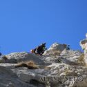 IMG_0190